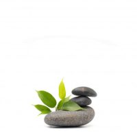 Wellis wellness & spa